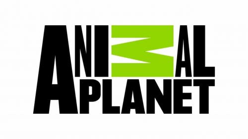 Animal-Planet-Logo-2008-500x281_03cc6cf8-3411-439f-8dfd-2900d695eb5a[product-name]-LetterSeals.com