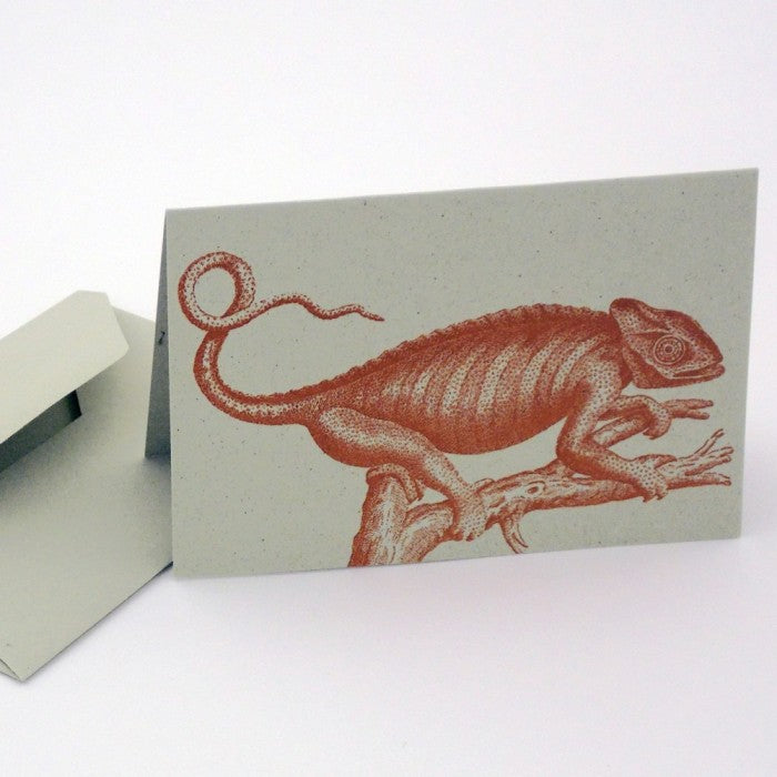 Chameleon 18th Century 10 Note Card Set| Rossi 1931 Italian Stationery-LetterSeals.com