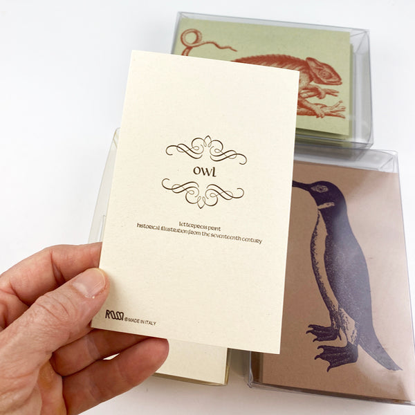 Owl 18th Century 10 Note Card Set| Rossi 1931 Italian Stationery-LetterSeals.com