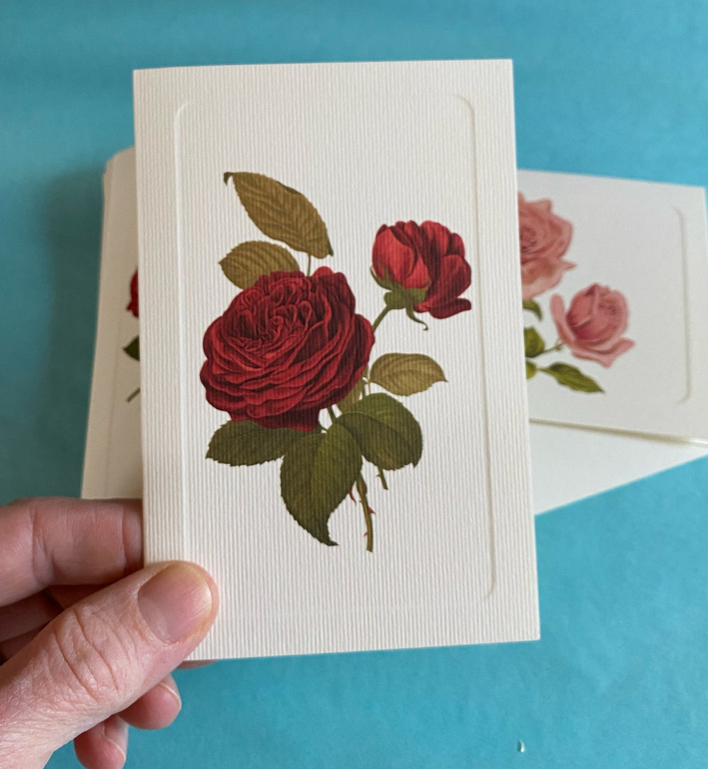 Summer Roses 12 Note Card Set, Four Designs | Rossi 1931 Italian Stationery-LetterSeals.com
