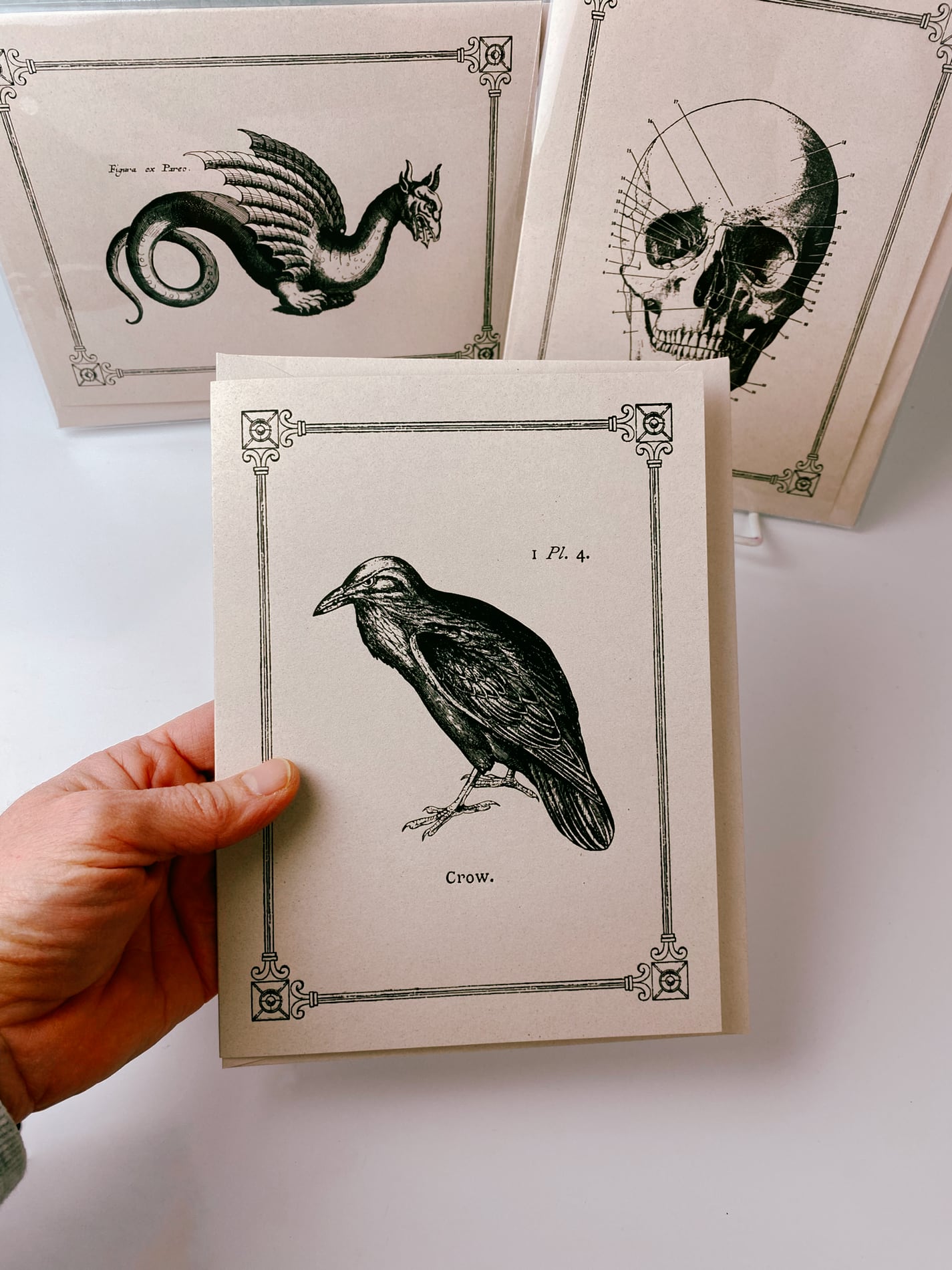 Note Cards