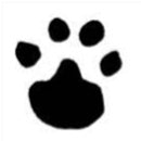 gs[product-name]-LetterSeals.com