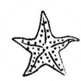 gs[product-name]-LetterSeals.com