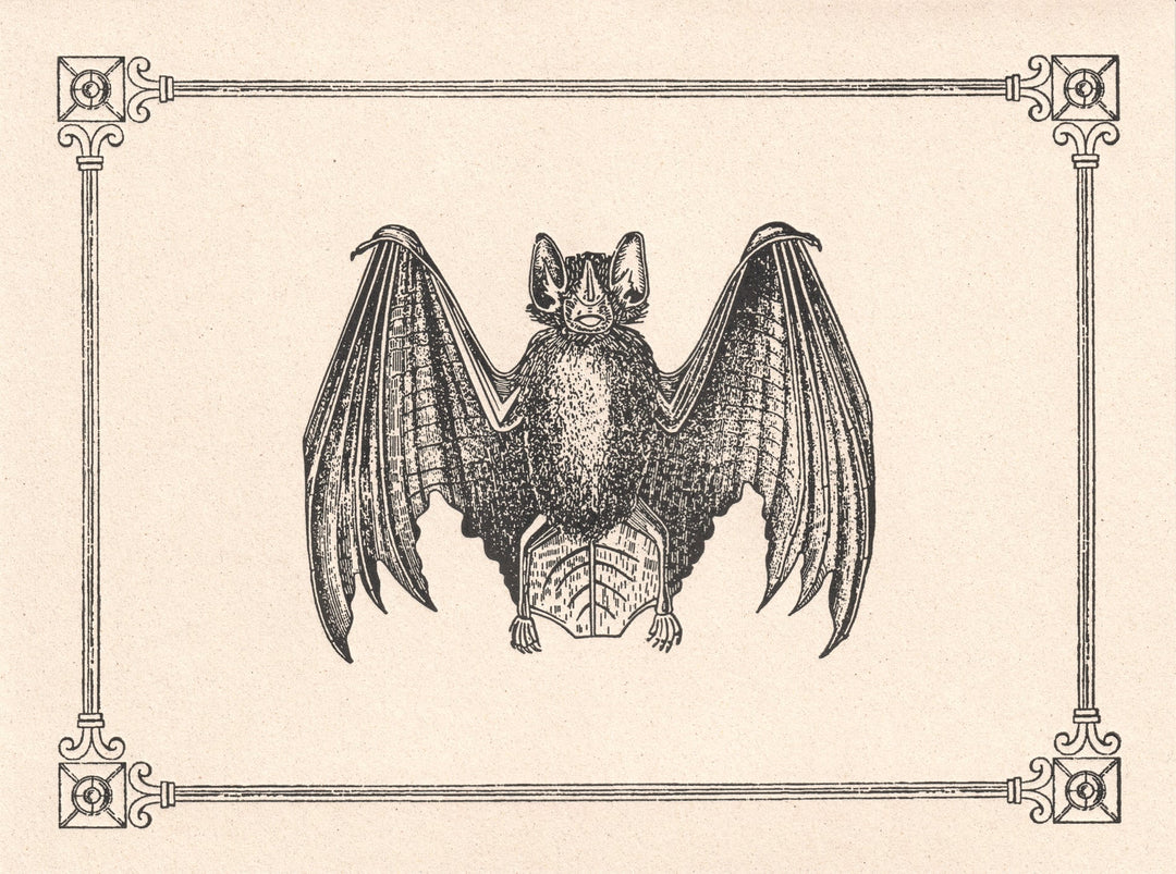 Bat  Italian Vintage letterpress Notecard LetterSeals.com