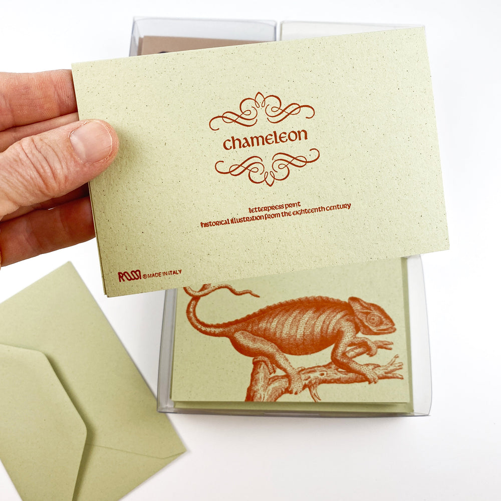 Chameleon 18th Century 10 Note Card Set| Rossi 1931 Italian Stationery-LetterSeals.com