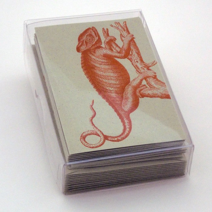 Chameleon 18th Century 10 Note Card Set| Rossi 1931 Italian Stationery-LetterSeals.com