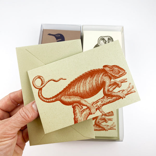 Chameleon 18th Century 10 Note Card Set| Rossi 1931 Italian Stationery-LetterSeals.com