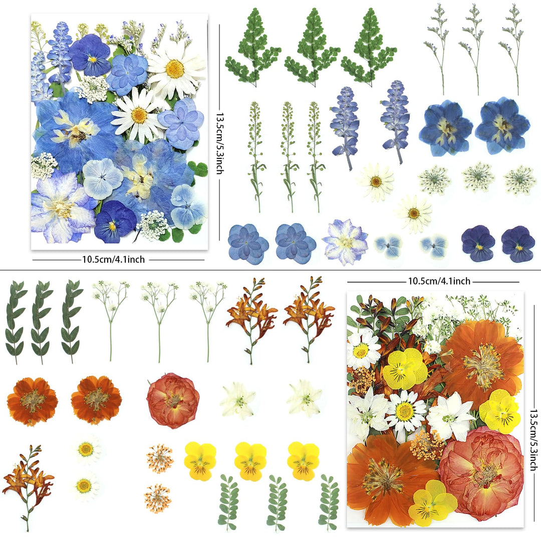 Color Themed Dried Pressed Flowers-LetterSeals.com