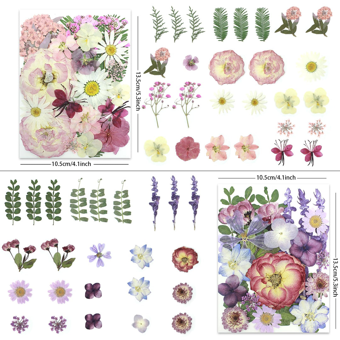 Color Themed Dried Pressed Flowers-LetterSeals.com
