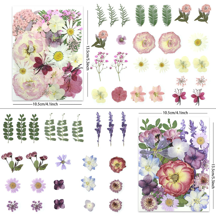 Color Themed Dried Pressed Flowers-LetterSeals.com