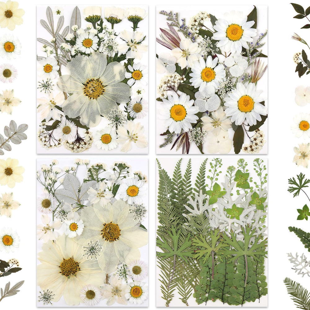 Color Themed Dried Pressed Flowers-LetterSeals.com