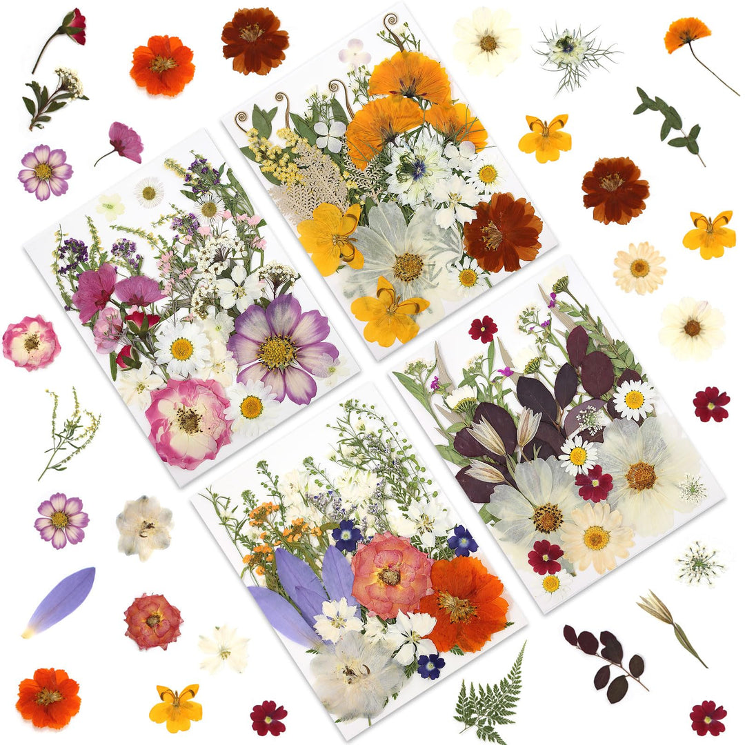 Color Themed Dried Pressed Flowers-LetterSeals.com