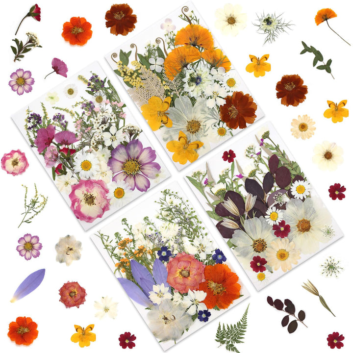 Color Themed Dried Pressed Flowers-LetterSeals.com