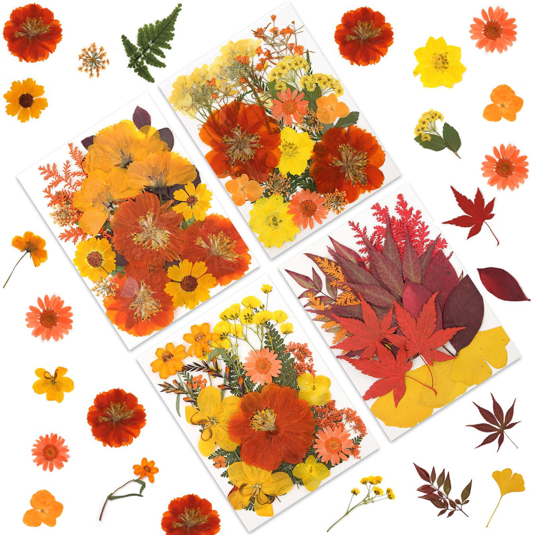 Color Themed Dried Pressed Flowers-LetterSeals.com