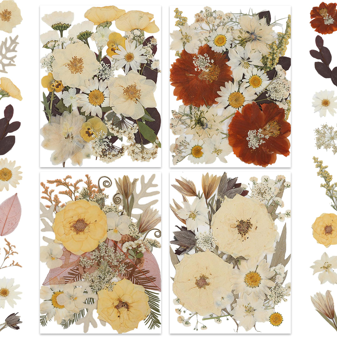 Color Themed Dried Pressed Flowers-LetterSeals.com