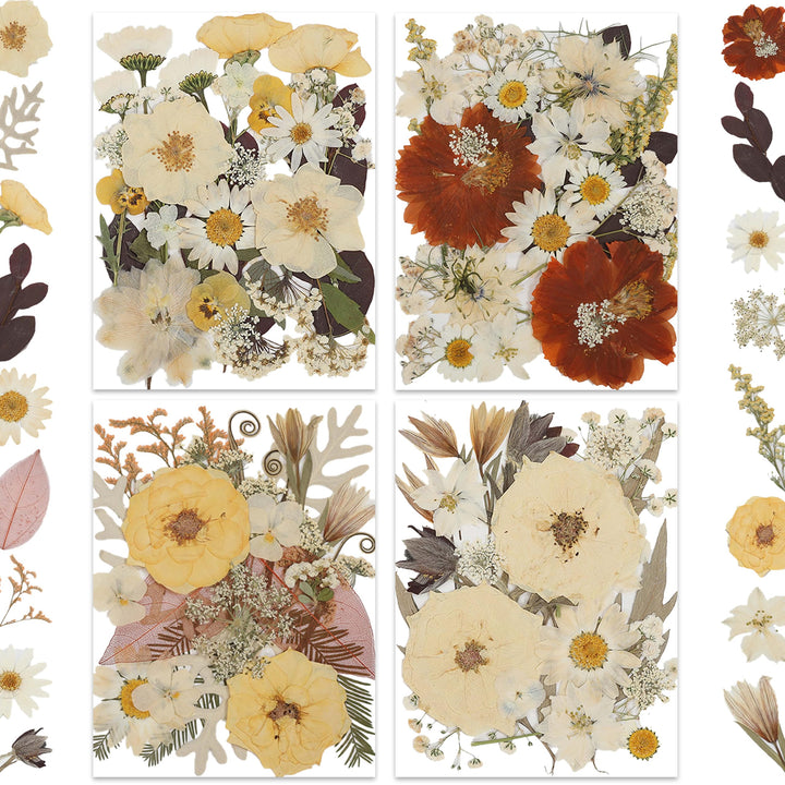 Color Themed Dried Pressed Flowers-LetterSeals.com