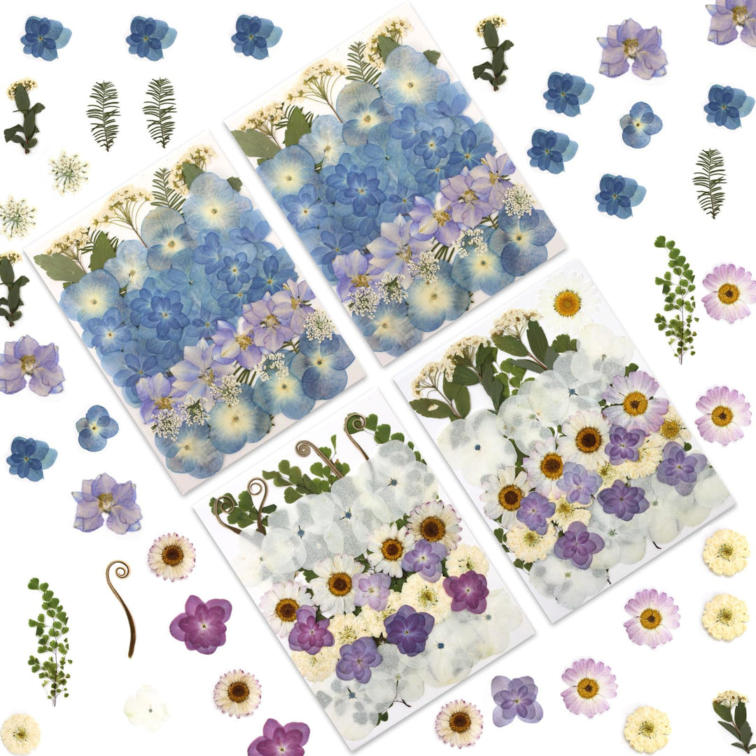 Color Themed Dried Pressed Flowers-LetterSeals.com