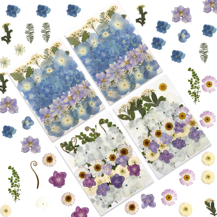 Color Themed Dried Pressed Flowers-LetterSeals.com