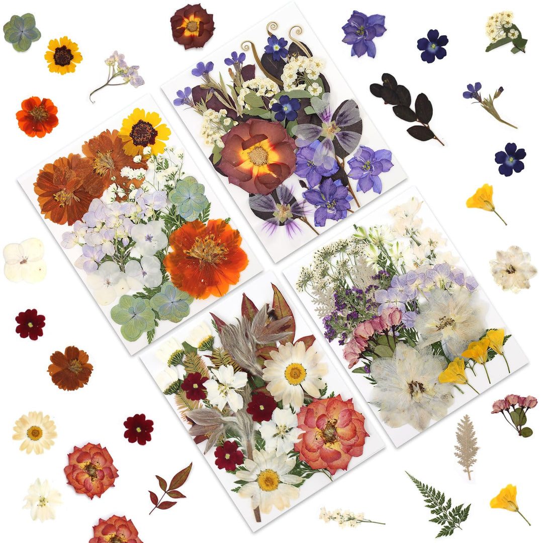 Color Themed Dried Pressed Flowers-LetterSeals.com
