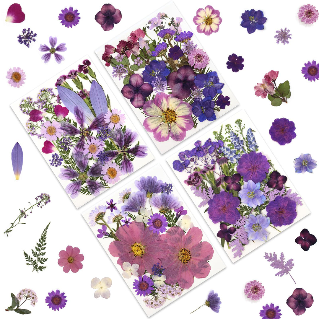 Color Themed Dried Pressed Flowers-LetterSeals.com