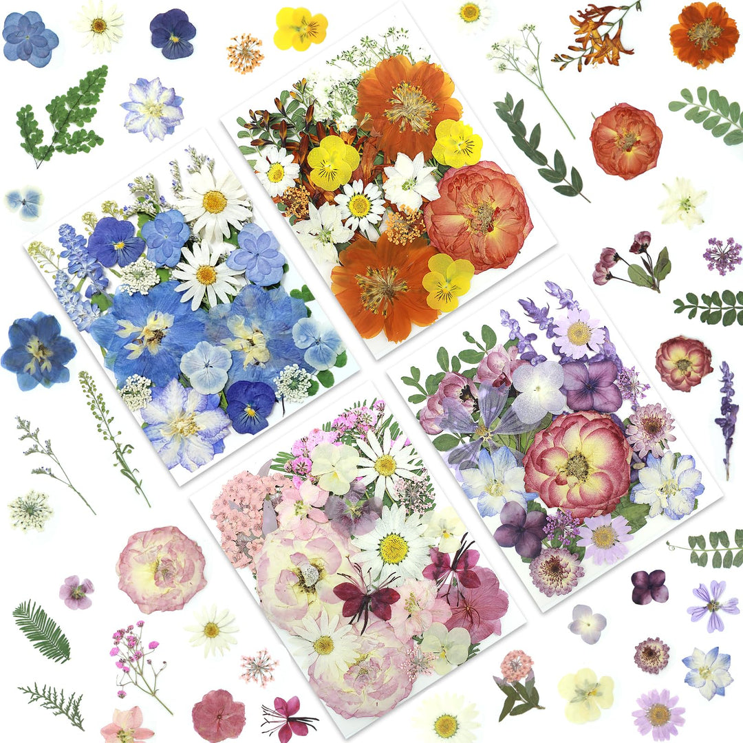 Color Themed Dried Pressed Flowers-LetterSeals.com