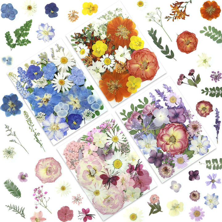 Color Themed Dried Pressed Flowers-LetterSeals.com