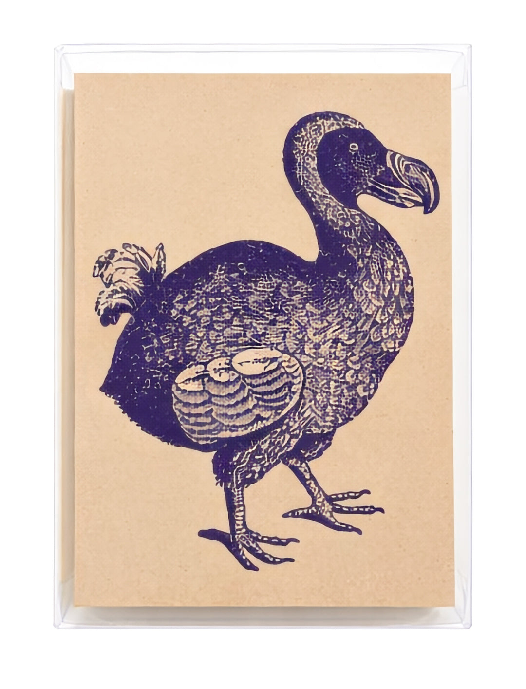 Dodo 18th Century 10 Note Card Set | Rossi 1931 Italian Stationery-LetterSeals.com
