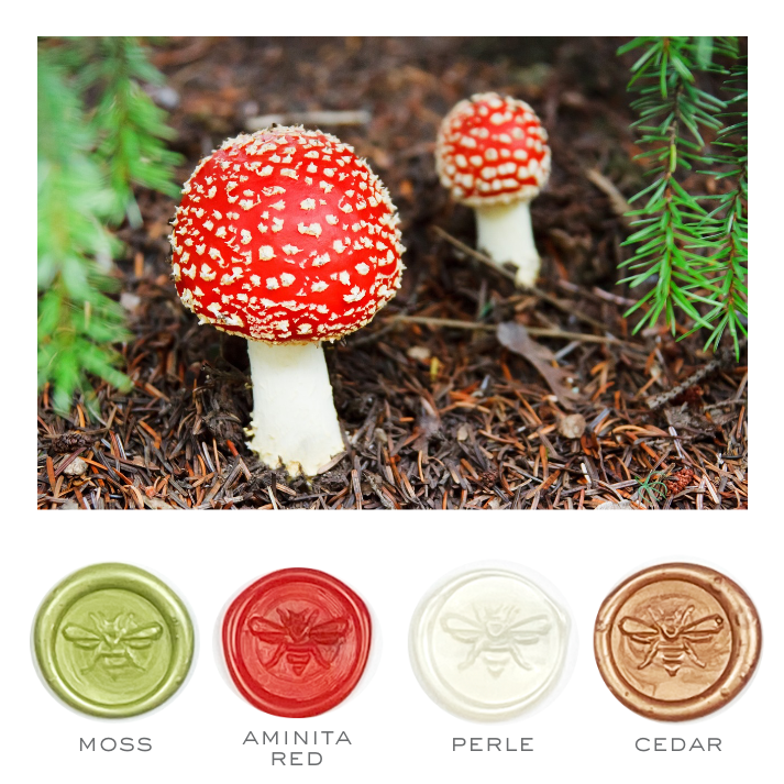 Fall Mushroom Colorway Stamp & Sealing Wax Set- Made in USA- LetterSeals.com