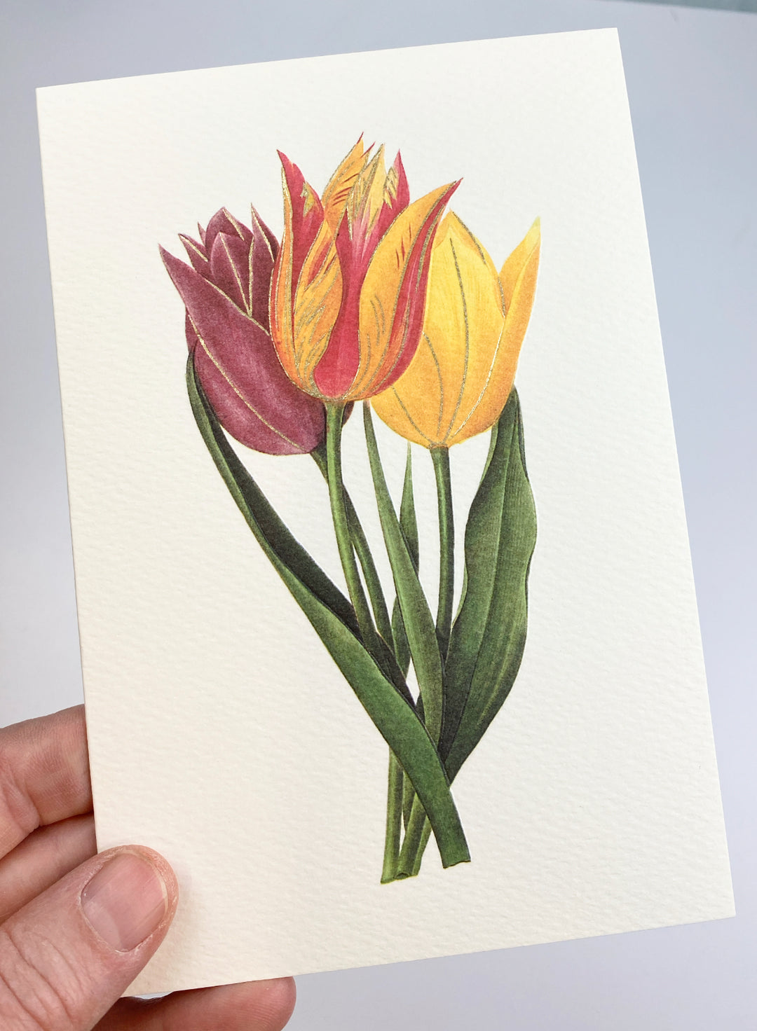 Gesner Tulips Greeting Card | Rossi 1931 Italian Stationery-LetterSeals.com