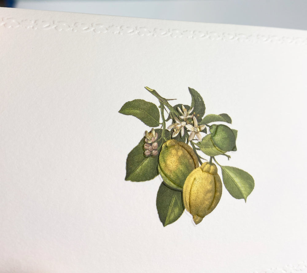 Lemon Motif Notecards | Rossi 1931 Italian Stationery-LetterSeals.com