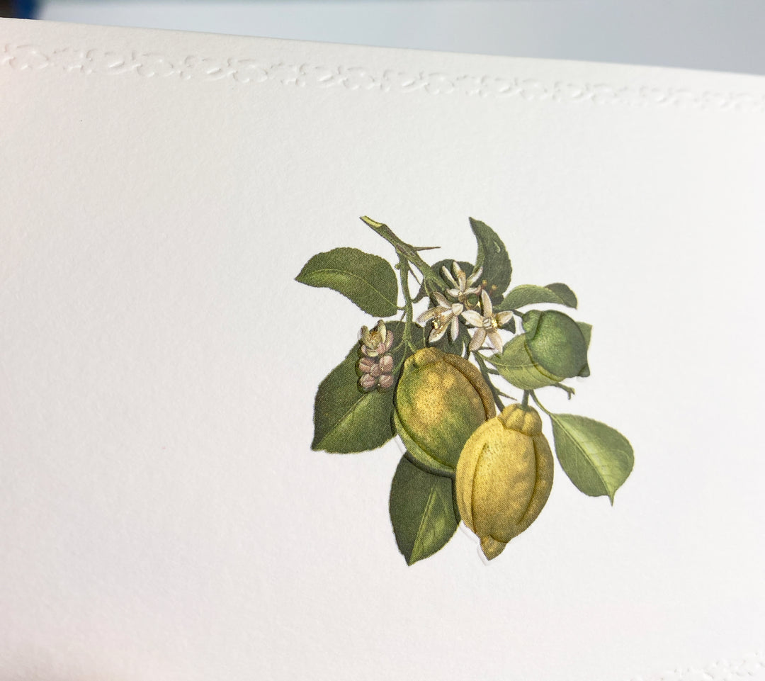 Lemon Motif Notecards | Rossi 1931 Italian Stationery-LetterSeals.com