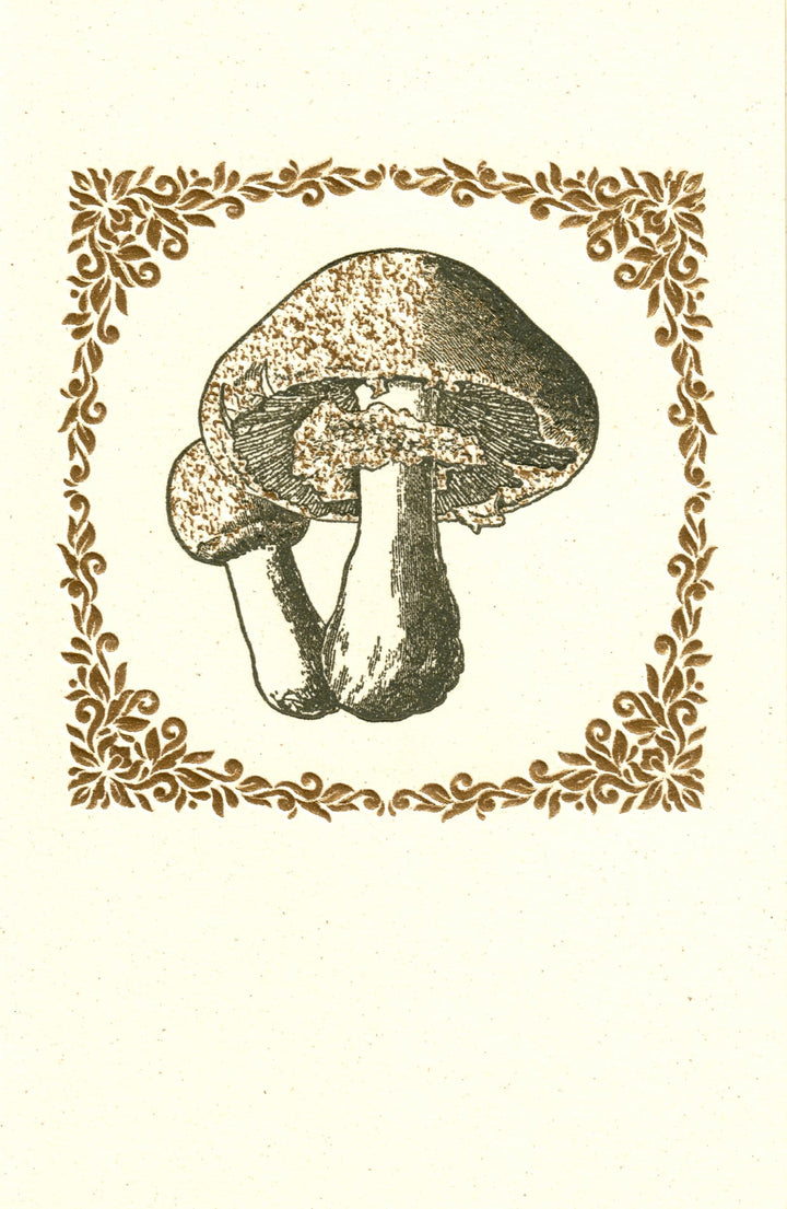 Mushroom Letterpress Foiled Italian Notecards | 6 Designs | Rossi 1931-LetterSeals.com