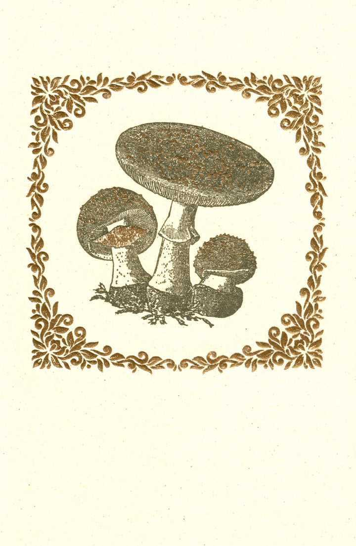 Mushroom Letterpress Foiled Italian Notecards | 6 Designs | Rossi 1931-LetterSeals.com