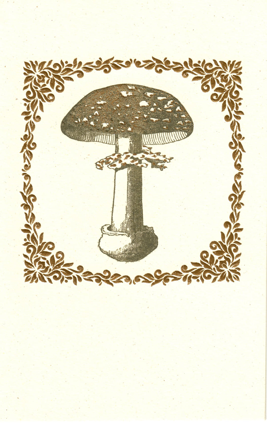 Mushroom Letterpress Foiled Italian Notecards | 6 Designs | Rossi 1931-LetterSeals.com