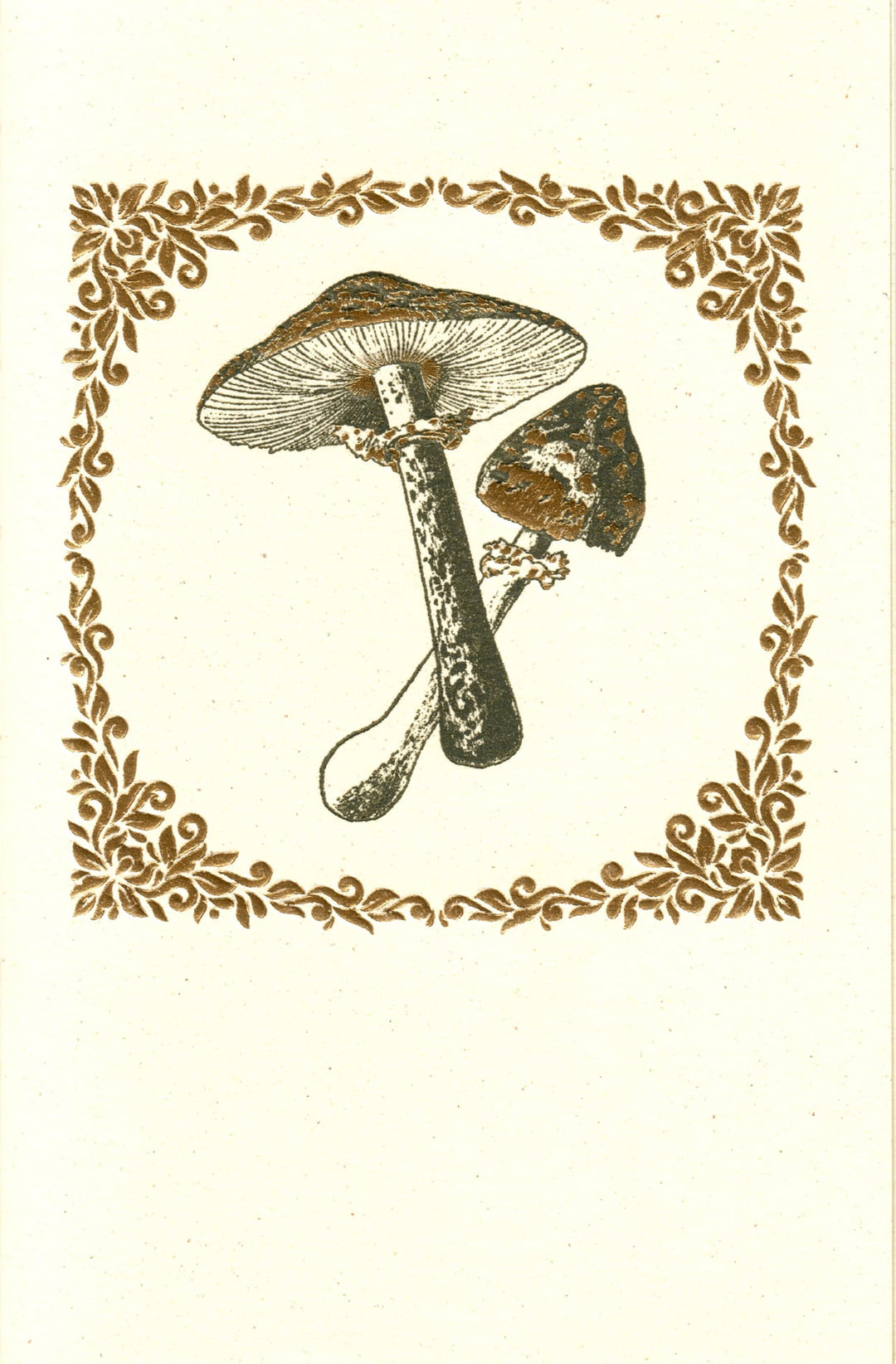 Mushroom Letterpress Foiled Italian Notecards | 6 Designs | Rossi 1931-LetterSeals.com