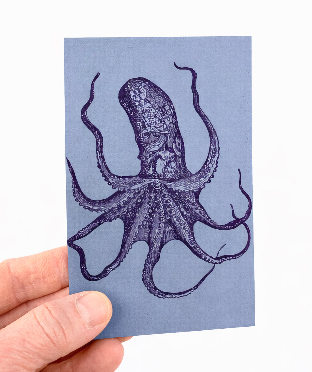 Octopus 18th Century 10 Note Card Set | Rossi 1931 Italian Stationery-LetterSeals.com