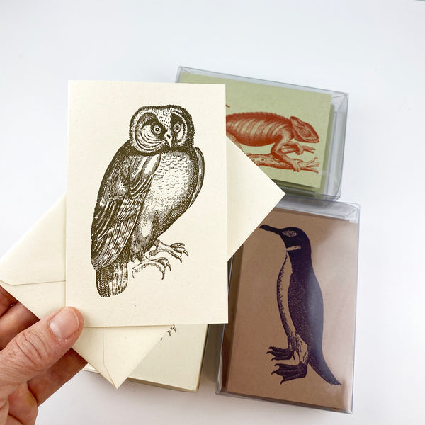 Owl 18th Century 10 Note Card Set| Rossi 1931 Italian Stationery-LetterSeals.com