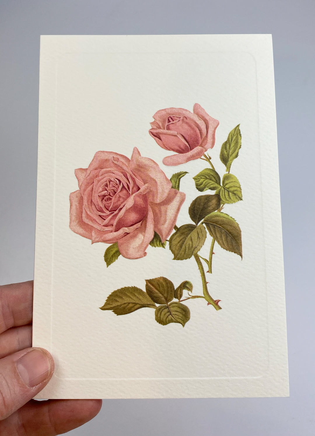 Pink Rose Greeting Card | Rossi 1931 Italian Stationery-LetterSeals.com