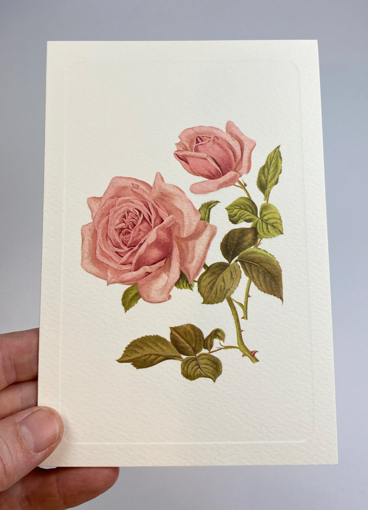 Pink Rose Greeting Card | Rossi 1931 Italian Stationery-LetterSeals.com
