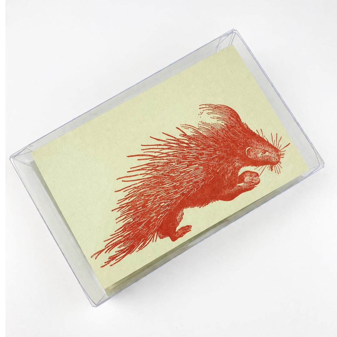 Porcupine 18th Century 10 Note Card Set | Rossi 1931 Italian Stationery-LetterSeals.com