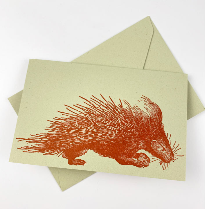 Porcupine 18th Century 10 Note Card Set | Rossi 1931 Italian Stationery-LetterSeals.com