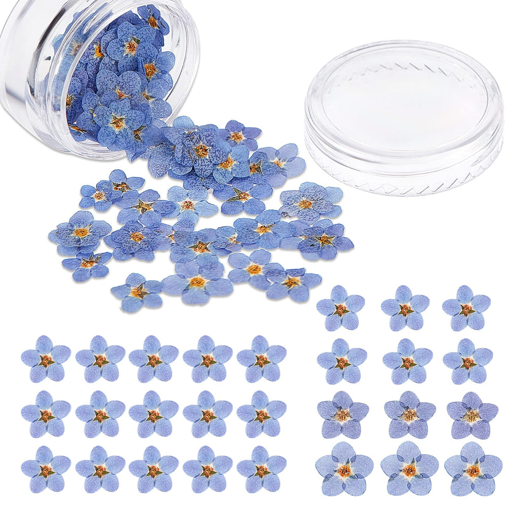 Pressed Forget-Me-Not Flowers-LetterSeals.com