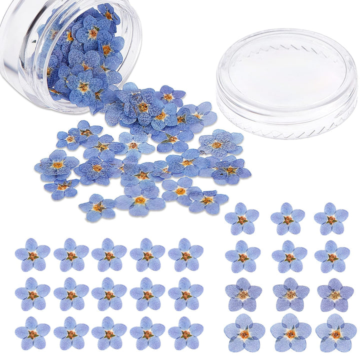 Pressed Forget-Me-Not Flowers-LetterSeals.com