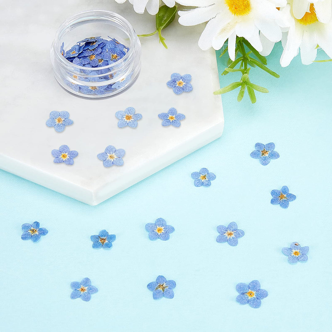 Pressed Forget-Me-Not Flowers-LetterSeals.com