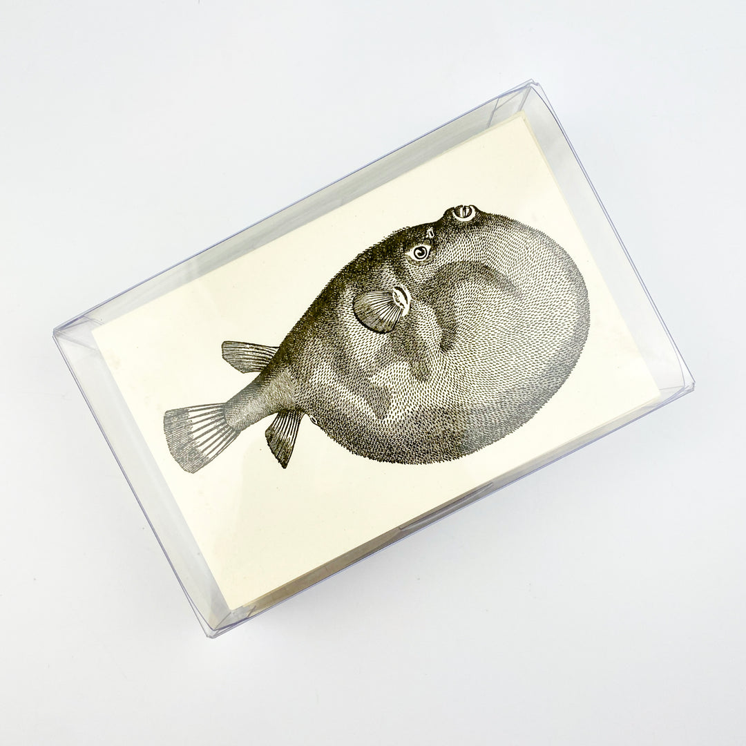 Pufferfish 18th Century 10 Note Card Set | Rossi 1931 Italian Stationery-LetterSeals.com
