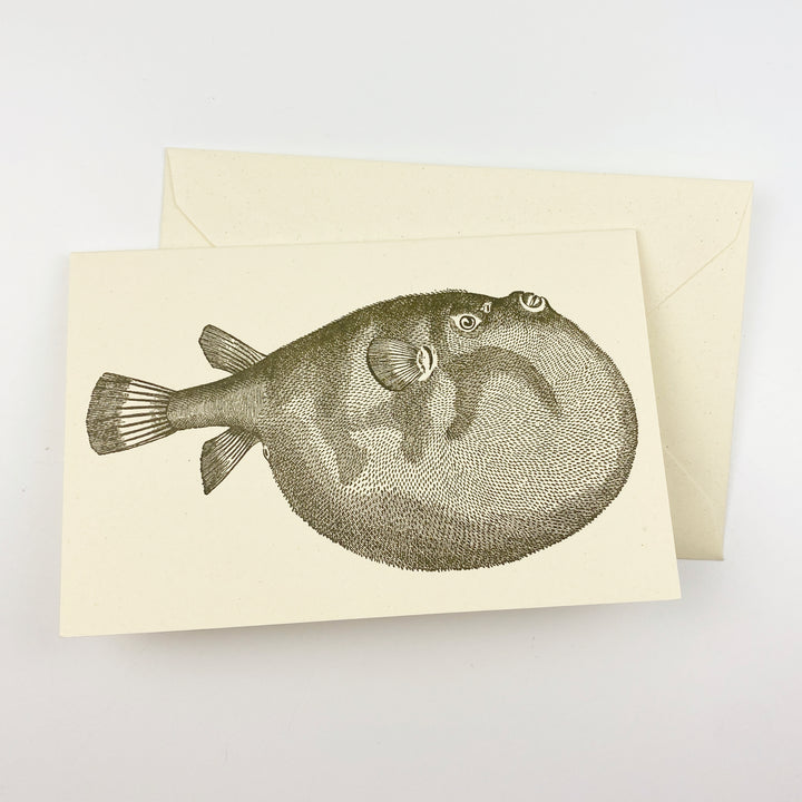 Pufferfish 18th Century 10 Note Card Set | Rossi 1931 Italian Stationery-LetterSeals.com