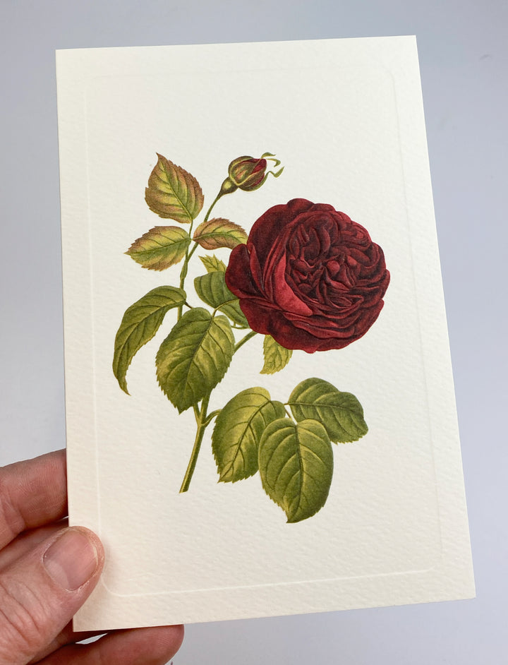 Red Rose Greeting Card | Rossi 1931 Italian Stationery-LetterSeals.com