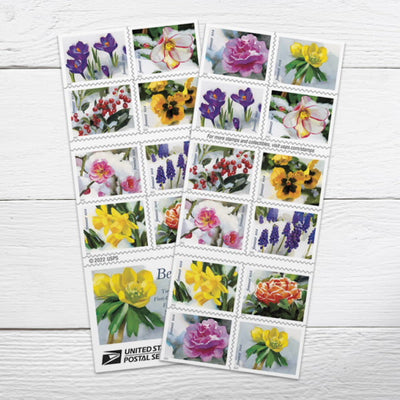 Snowy Beauty Forever 1st Class Postage Stamps-LetterSeals.com