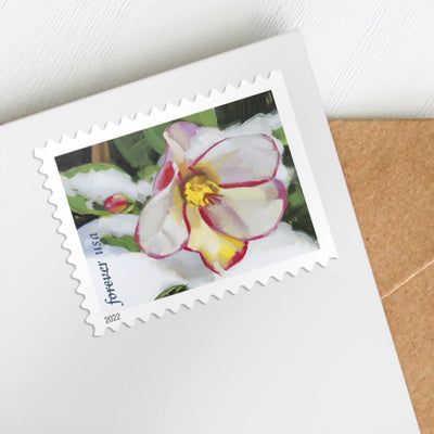 Snowy Beauty Forever 1st Class Postage Stamps-LetterSeals.com