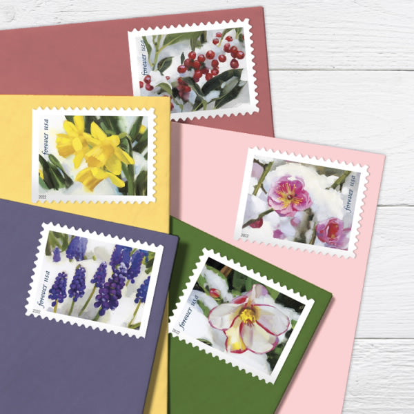 Snowy Beauty Forever 1st Class Postage Stamps-LetterSeals.com